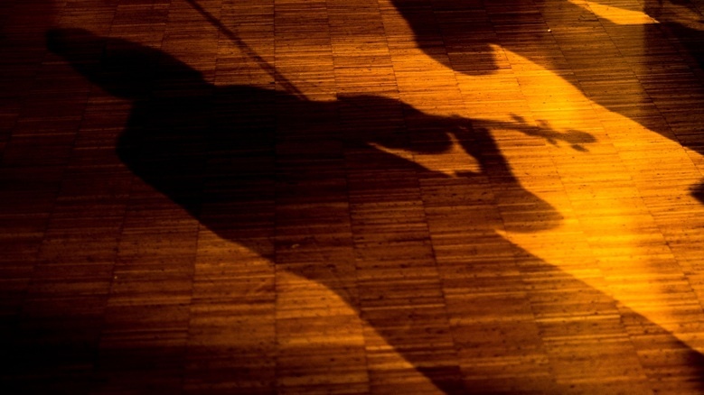 Schatten einer Geigenspielerin auf einem Parkettboden