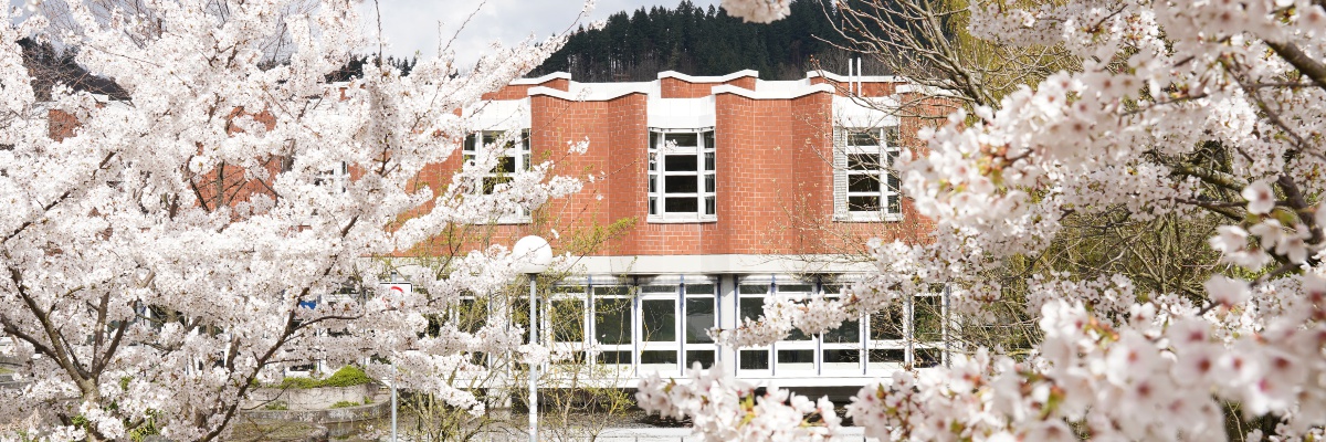 Die Hochschule für Musik Freiburg hinter blühenden Kirschbäumen