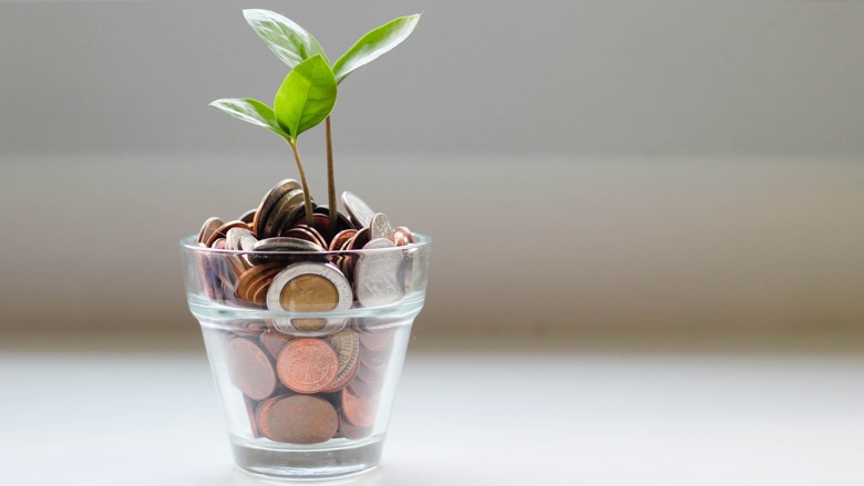 Ein Glas mit Münzen, aus denen eine Pflanze wächst.