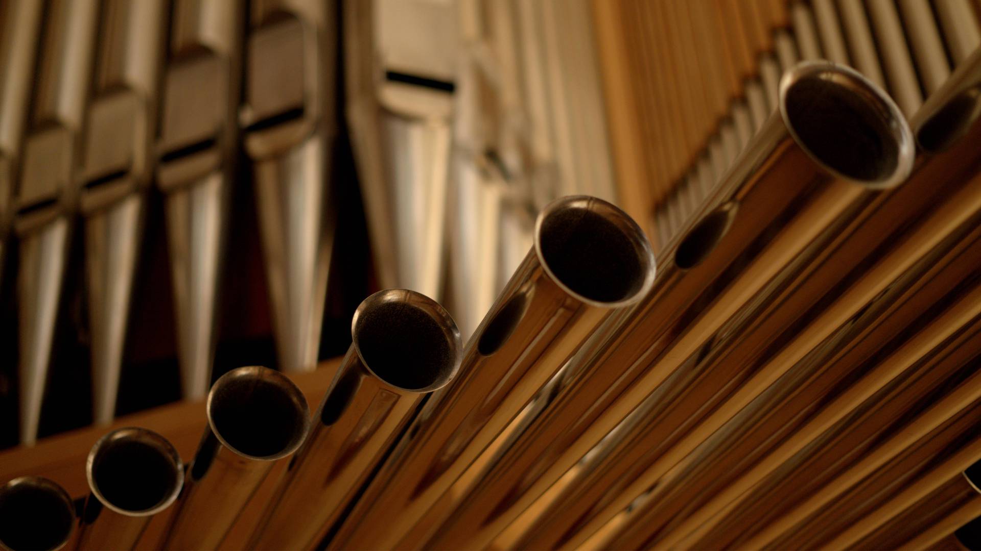 Orgelpfeifen der großen Konzertorgel im Wolfgang-Hoffmann-Saal der Hochschule