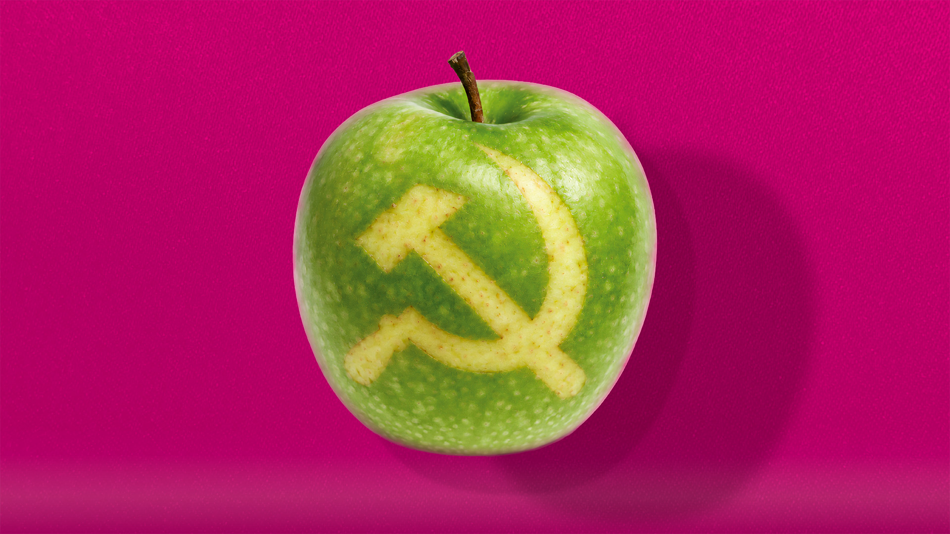 Ein Apfel mit Hammer und Sichel auf der Schale vor einem pinken Hintergrund