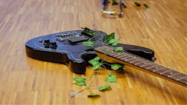Eine E-Gitarre mit einem Efeu-Zweig
