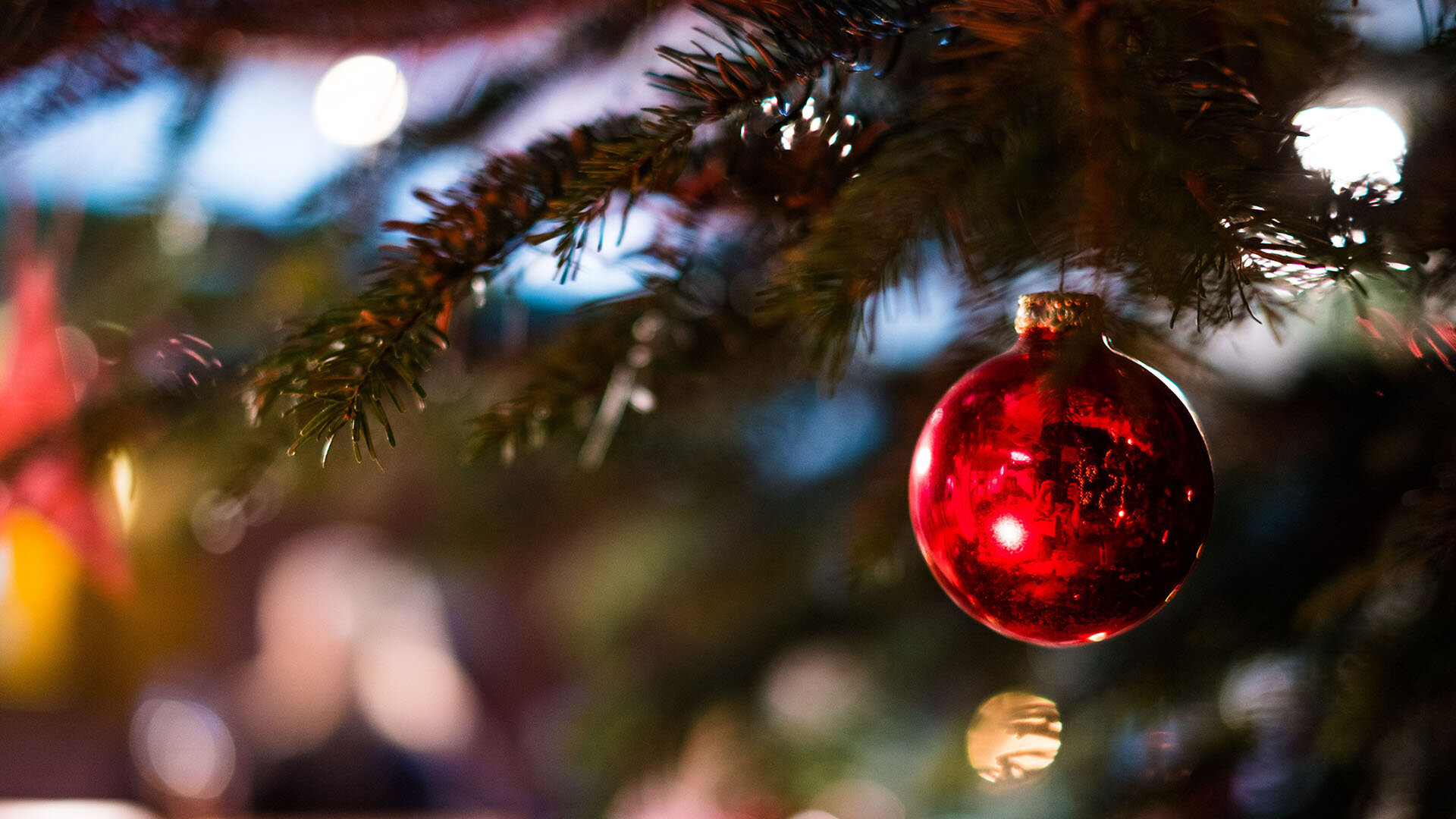 Rote Weihnachtskugel am Baum