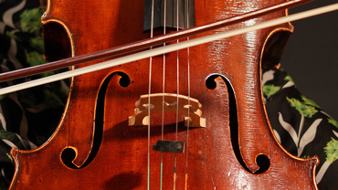Ausschnitt vom Cello