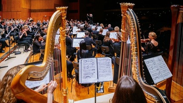 Mitglieder der Stuttgarter Philharmoniker während eines Konzerts